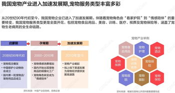 3.6億銷售額！寵物用品雙11整月戰報解讀，日用品消費展現強勁增長